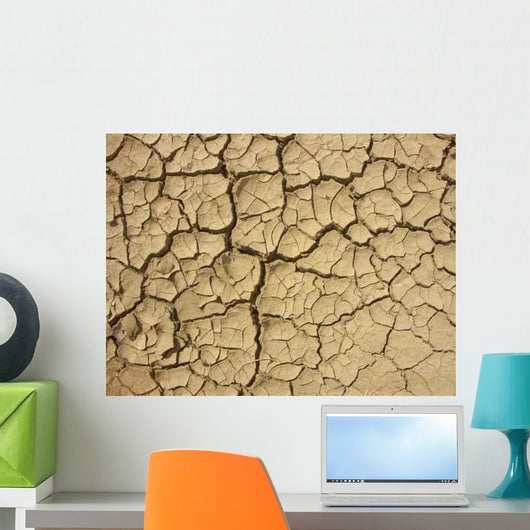 Risse im Boden Wall Decal