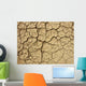 Risse im Boden Wall Decal