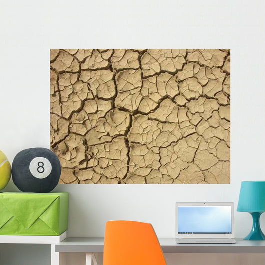 Risse im Boden Wall Decal