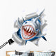 shark strap Wall Mural