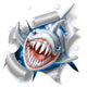 shark strap Wall Mural