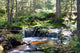 Forest Wall Mural