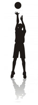 Sport Silhouettes Wall Decal