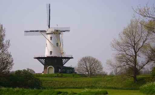 Typisch Holland Wall Decal