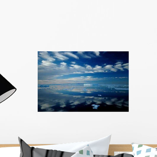 Antarctic Mirror Wall Decal