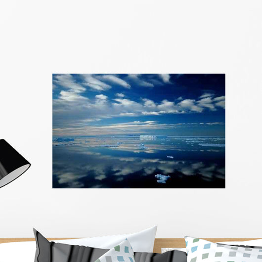 Antarctic Mirror Wall Decal