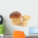 Mushrooms Wall Decal
