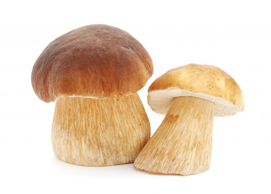 Mushrooms Wall Decal