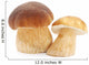 Mushrooms Wall Decal
