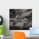 Young Beauty Running With a Horse Wall Mural