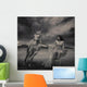 Young Beauty Running With a Horse Wall Mural