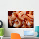 Shrimp Wall Mural
