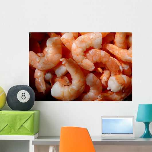 Shrimp Wall Mural