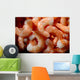 Shrimp Wall Mural