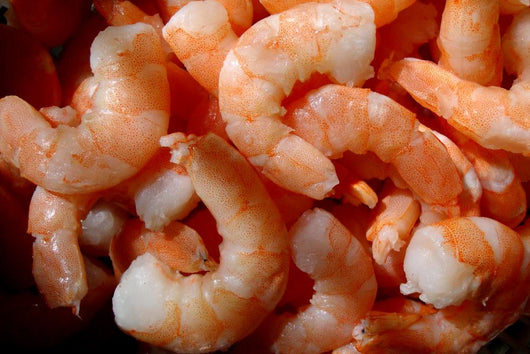 Shrimp Wall Mural