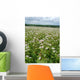 Buckwheat Family Wall Decal