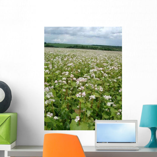 Buckwheat Family Wall Decal