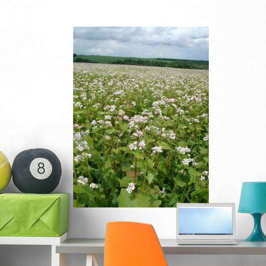 Buckwheat Family Wall Decal
