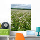 Buckwheat Family Wall Decal