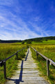 Way Nature