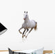 White Horse Wall Decal
