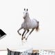 White Horse Wall Decal