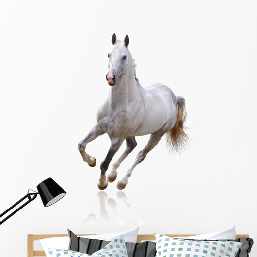 White Horse Wall Decal