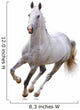 White Horse Wall Decal