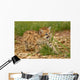 baby leopard Wall Mural