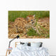 baby leopard Wall Mural