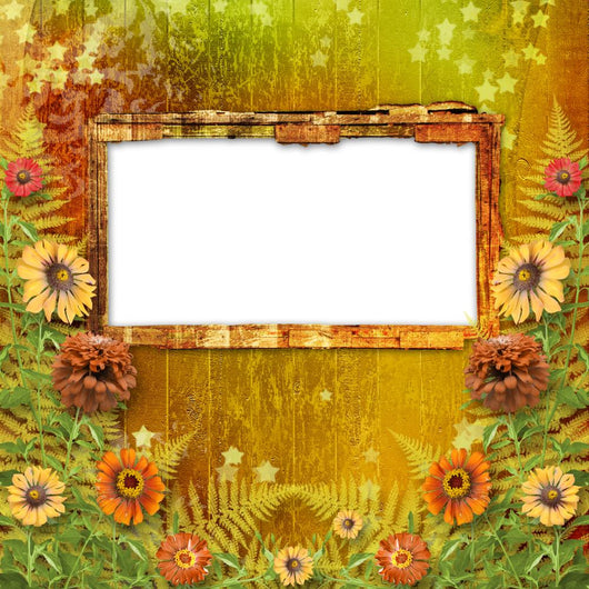 Multicoloured Card for Greetings Wall Mural