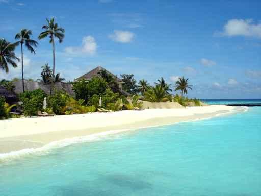 Typical Day Maldives Wall Decal