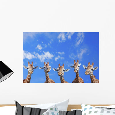 Giraffes Wall Mural shown on a wall