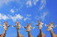 Giraffes Wall Mural