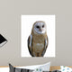 Barn owl isolation Wall Decal