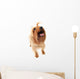 Dog Wall Decal