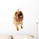 Dog Wall Decal