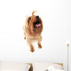 Dog Wall Decal