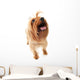 Dog Wall Decal