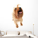 Dog Wall Decal