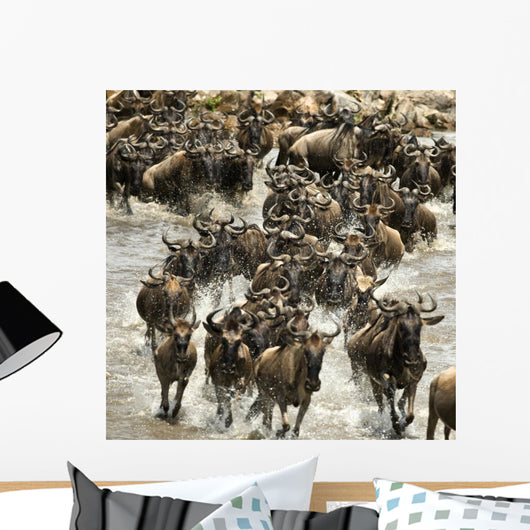 Wildebeest running in river in the Serengeti, Tanzania, Africa Wall Mural