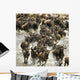 Wildebeest running in river in the Serengeti, Tanzania, Africa Wall Mural