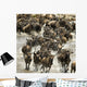Wildebeest running in river in the Serengeti, Tanzania, Africa Wall Mural