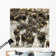 Wildebeest running in river in the Serengeti, Tanzania, Africa Wall Mural