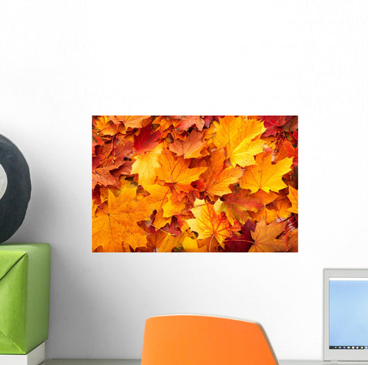 Group Autumn Orange Leaves
