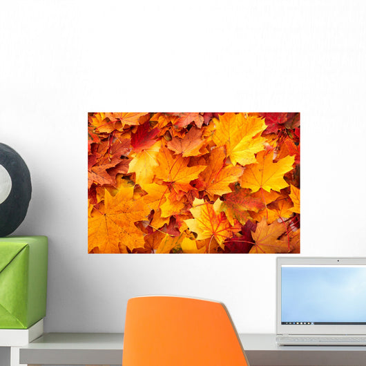 Group Autumn Orange Leaves
