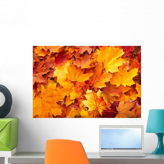 Group Autumn Orange Leaves