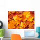 Group Autumn Orange Leaves