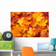 Group Autumn Orange Leaves