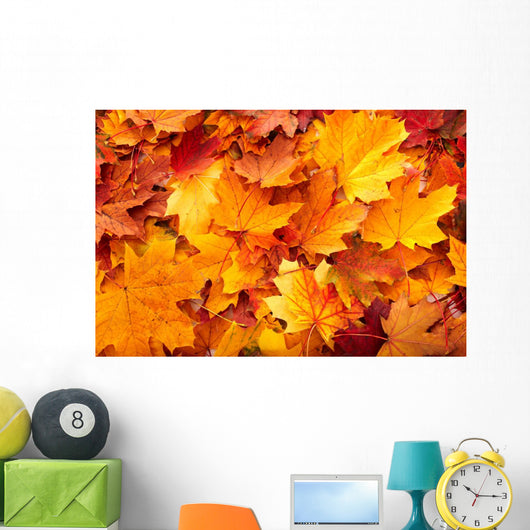 Group Autumn Orange Leaves